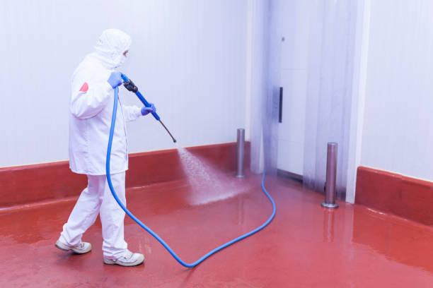 Best Post-Construction Pressure Washing  in Lexington, MN