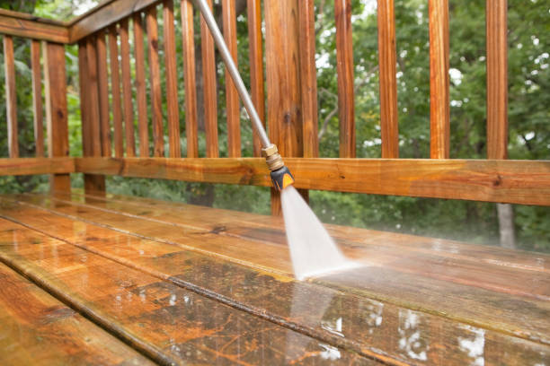 Best Pool Deck Cleaning  in Lexington, MN